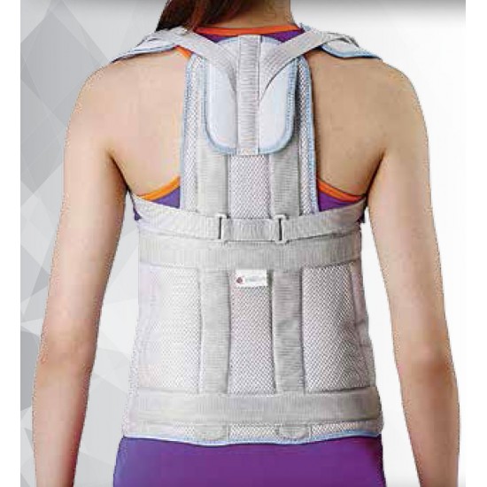 Νάρθηκας Κορμού “SPINE SUPPORT”